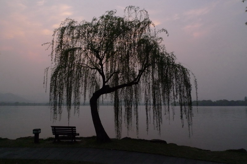 夕阳无限好