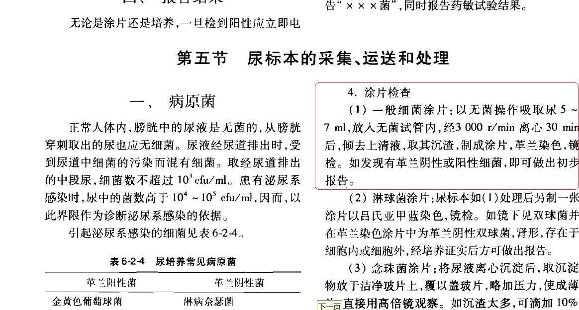 《规程》尿培养的涂片.jpg