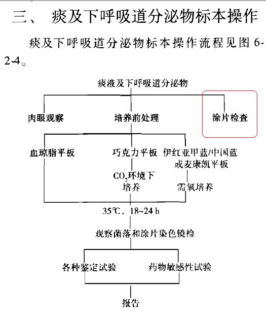 《规程》痰培养的涂片2.jpg