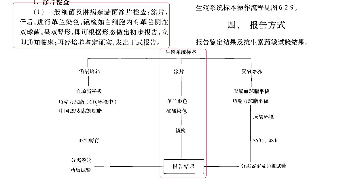 《规程》—生殖系统标本涂片.jpg