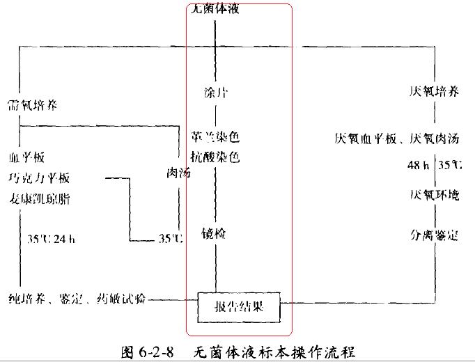 《规程》无菌体液培养的涂片2.jpg