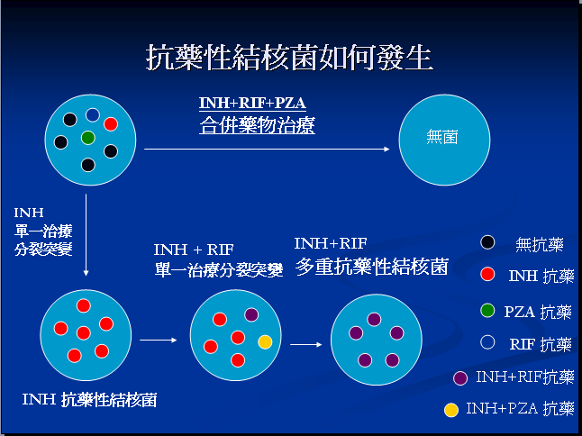 抗药性结核菌如何产生.bmp