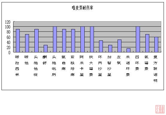 嗜麦芽29株.JPG