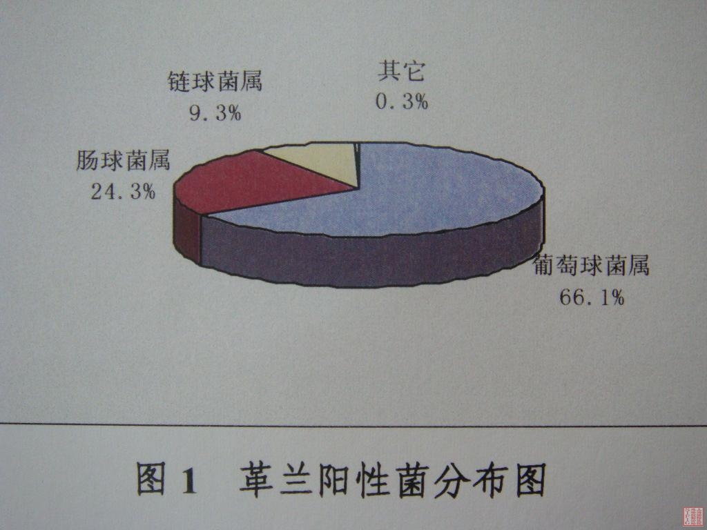 1-革兰阳性菌分布图.JPG