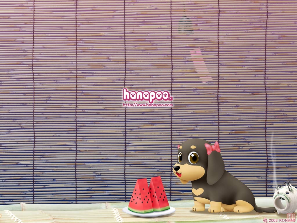 051117Hanapoo05.jpg