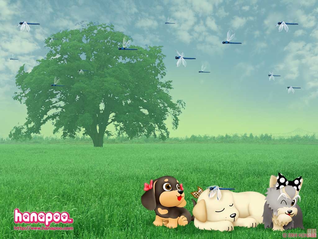 051117Hanapoo12.jpg