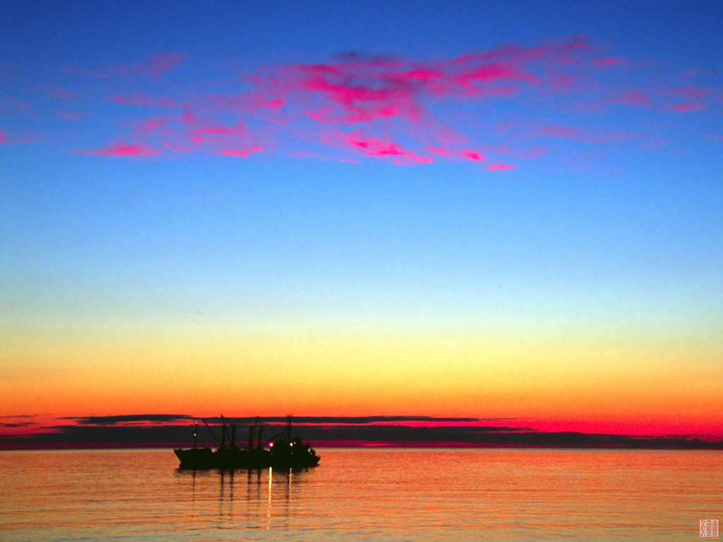 051027nature05.jpg