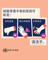 2025年世界手卫生日WHO图片