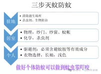 想整个夏天不被蚊子叮？这份“零叮咬指南”，看完就能用