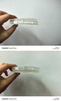 关于培养皿放置的问题