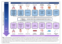 针对严重细菌感染的抗生素治疗：叙述性综述