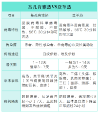 基孔肯雅热VS登革热