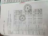 各位老师好，帮忙看一下，这两个消毒剂的产品采购哪个合适呢？