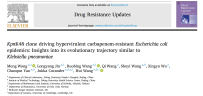 王辉教授团队：发现高毒力碳青霉烯耐药大肠 KpnK48 亚克隆的“类肺克式进化”新威胁