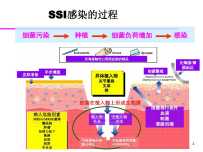 如果培训用这个图片，怎样对图片的内容正确解释？