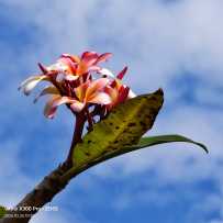 春暖花开，美不胜收