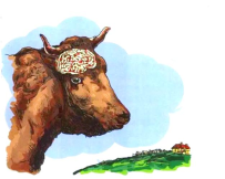 （有奖调查）特殊传染病谁给你们报告？