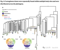 Nat Commun： 院内感染铜绿假单胞菌可在宿主不同身体部位间高频转移