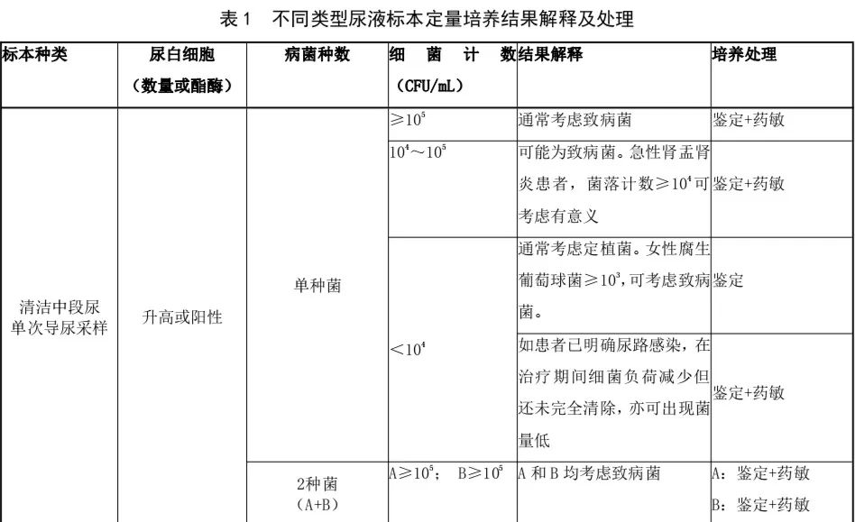 尿培养结果解释