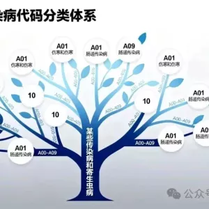 【2025更新版】传染病诊断用ICD-10代码