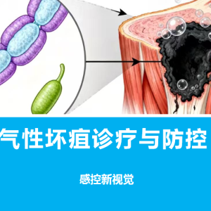 【PPT】气性坏疽诊疗与防控