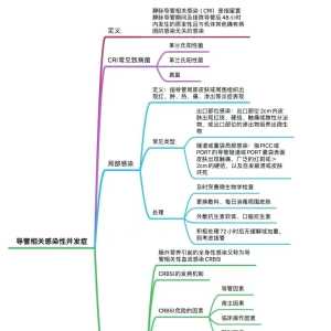 导管相关感染性并发症（思维导图）