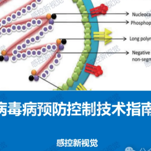 【PPT】《尼帕病毒病预防控制技术指南》解读