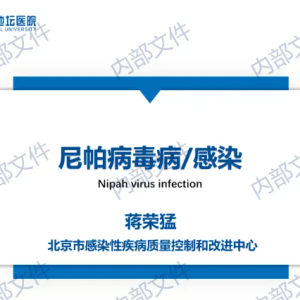 【PPT】尼帕病毒病/感染培训